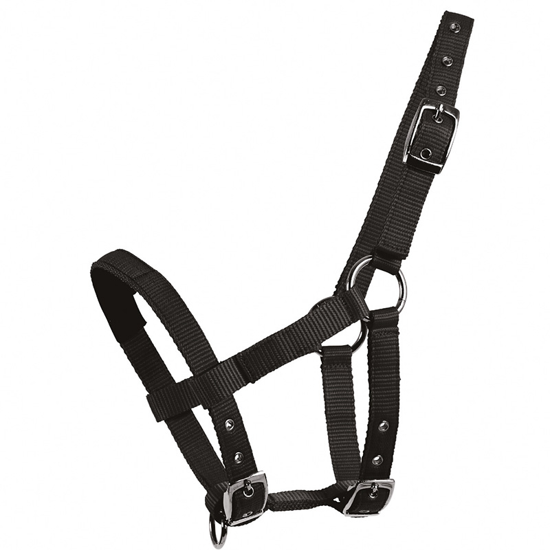 0022338mini-shetland-halter-mini-shetland-black.jpeg