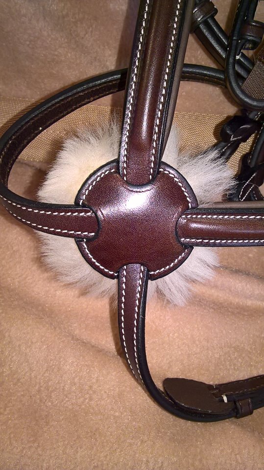Equiline Mexican/Grakle Bridle