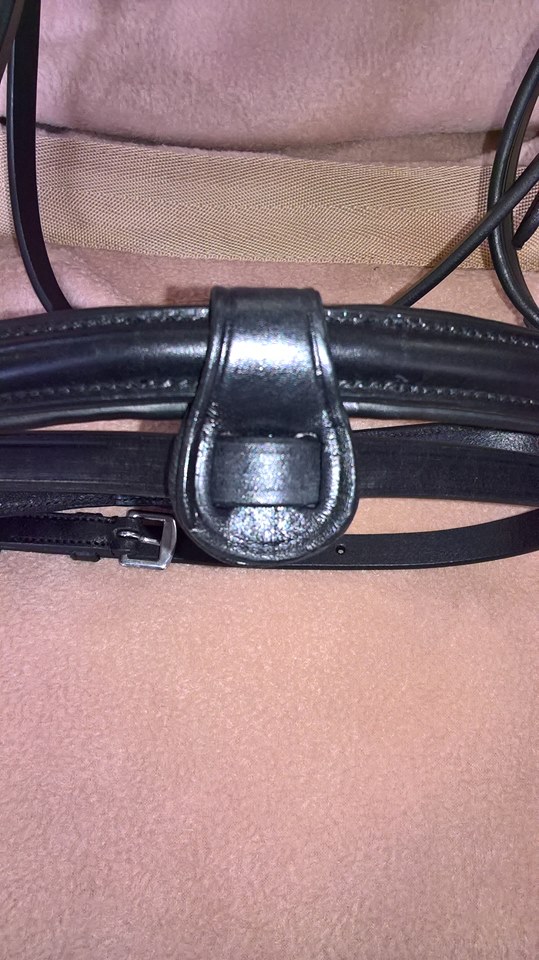 Equiline Flash Bridle