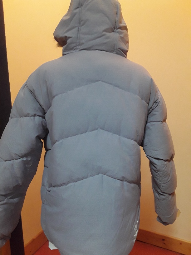 Dare2B Fantail Ski Jacket