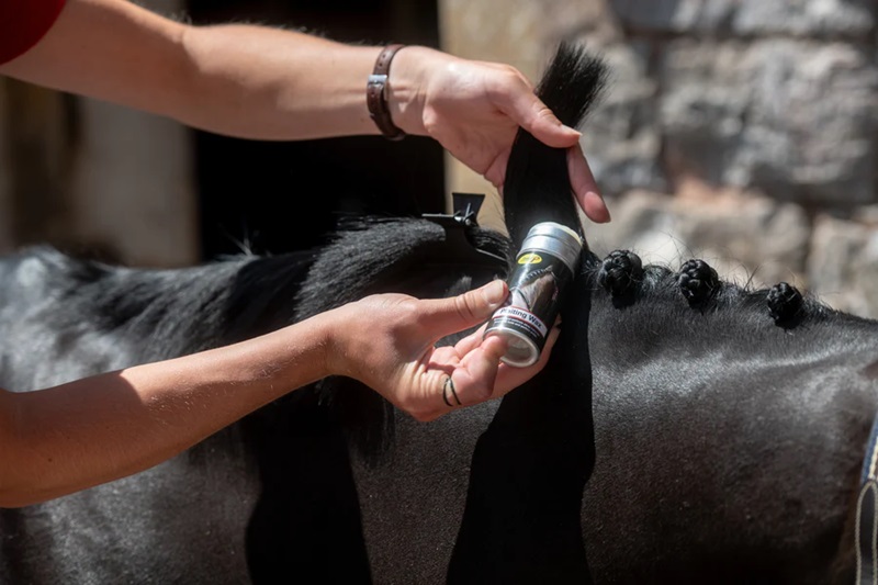 Smart Groom Plaiting Wax