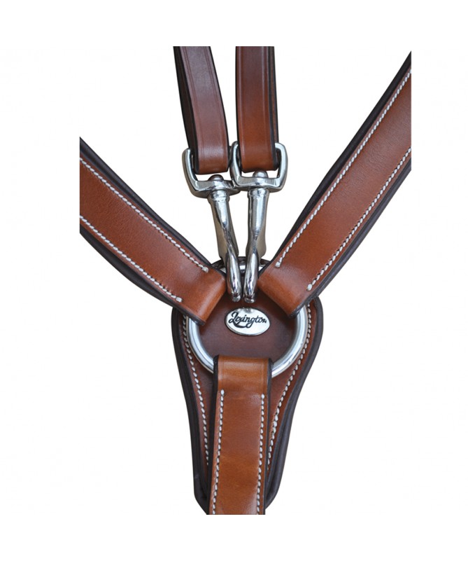 Privilege 5 Point Breastplate