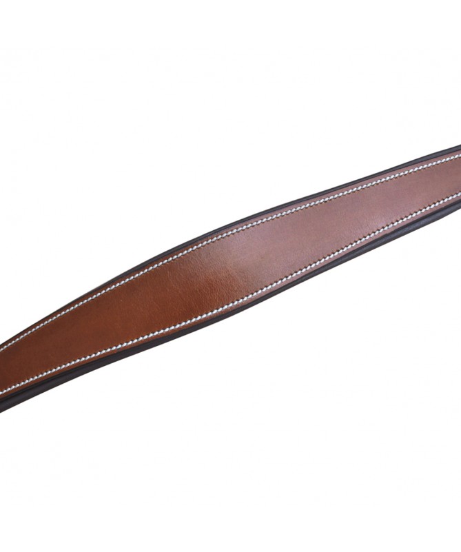 Privilege 5 Point Breastplate