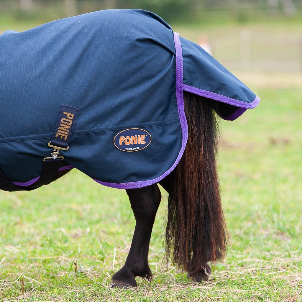 Gallop Lightweight PONIE Turnout Rug