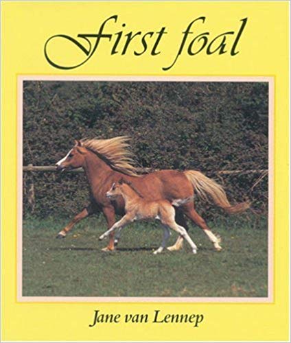 First-Foal.jpg