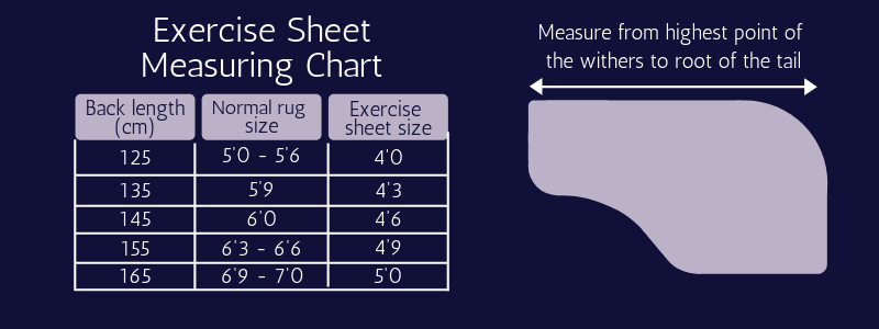 Masta Exercise Sheet