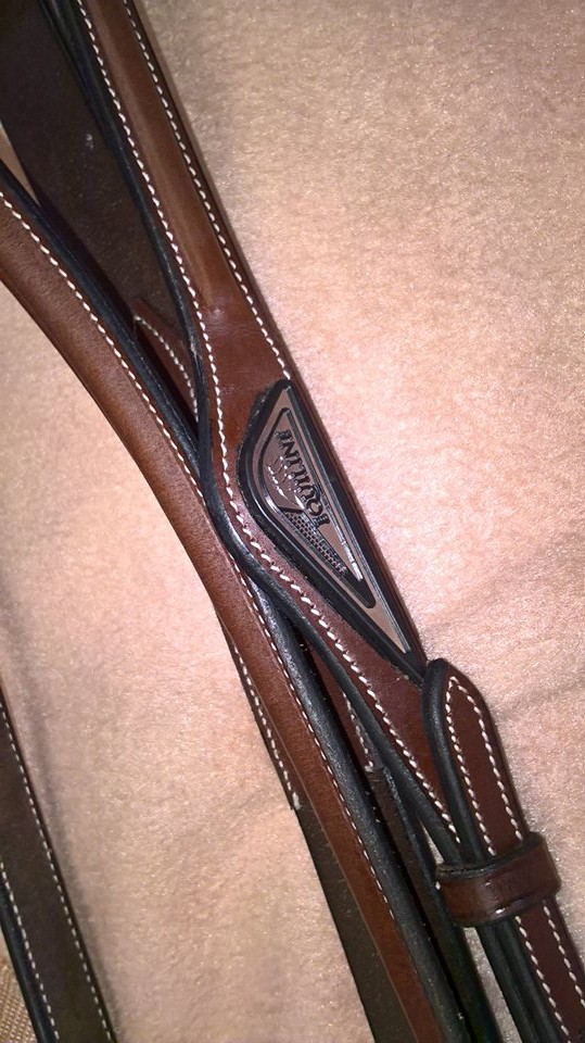 Equiline Running Martingale