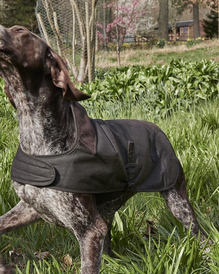 Barbour Wax Dog Coat Olive