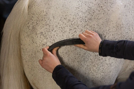 Excellent Horse Grooming Brush