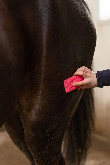 Excellent Horse Grooming Brush