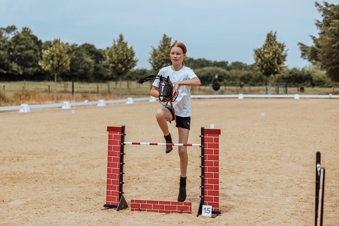 Hobby Horse Brick Wall Show Jump