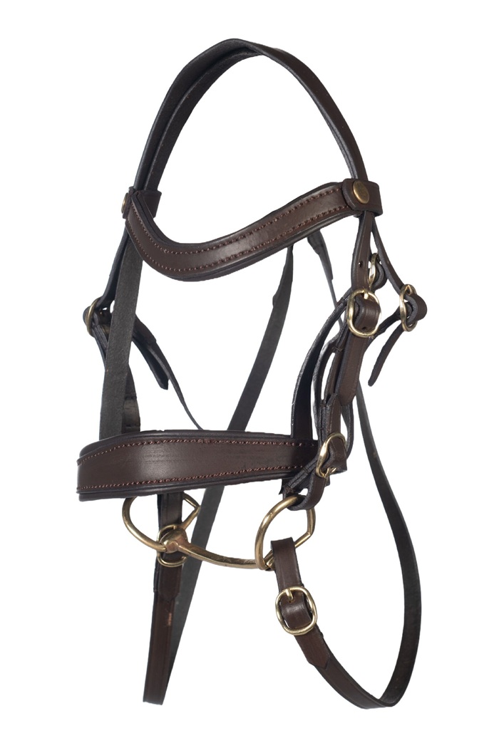 Hobby Horse Bridle