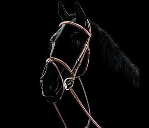 Equiline Flash Bridle