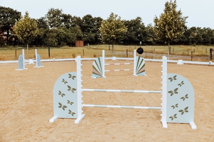 Hobby Horse Jump Wings - Butterfly