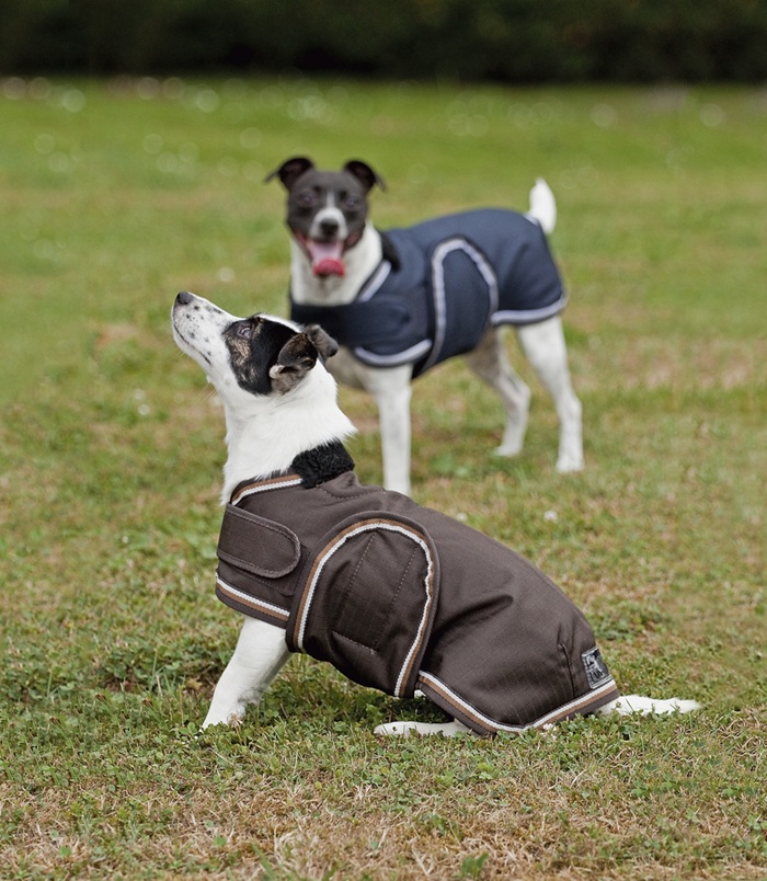 dog-coat-ripstop.jpg
