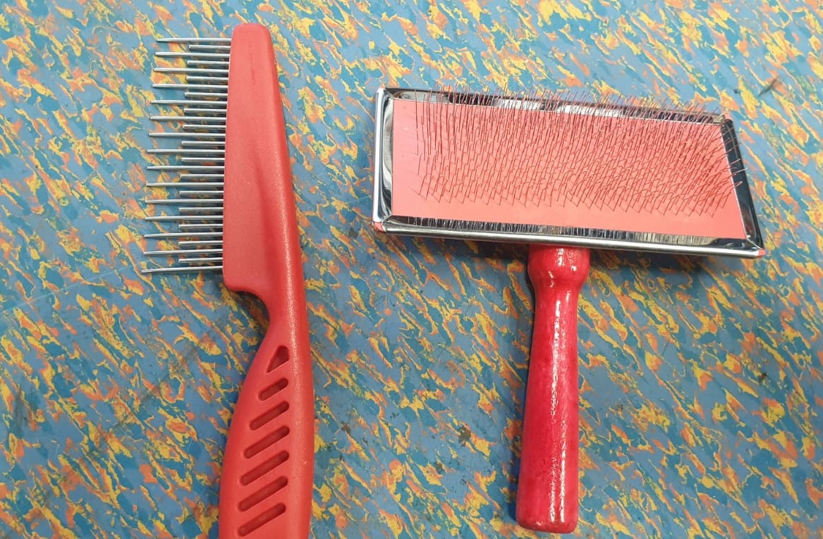 dog-combs.jpeg