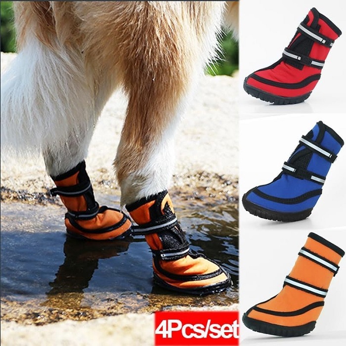 Neoprene Dog Boots