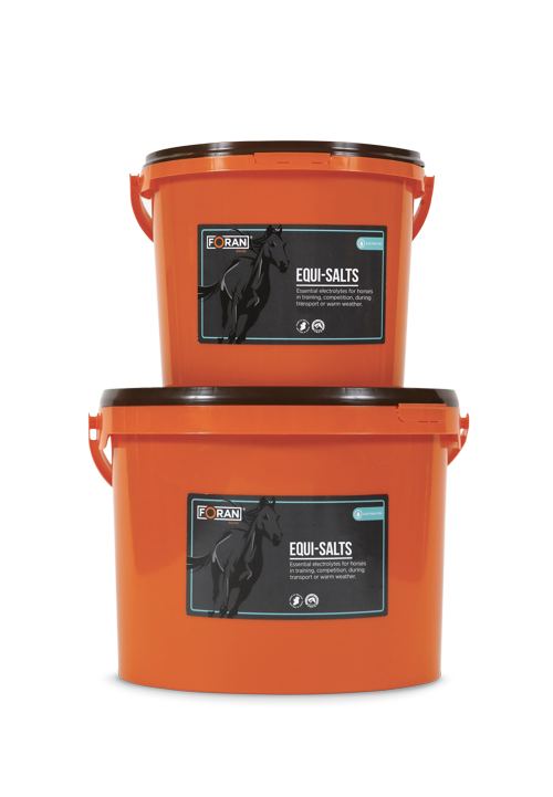 equi-salts-2.png