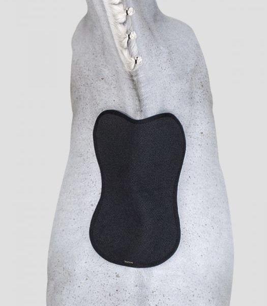 Equiline Rollo Anti-Slip Pad