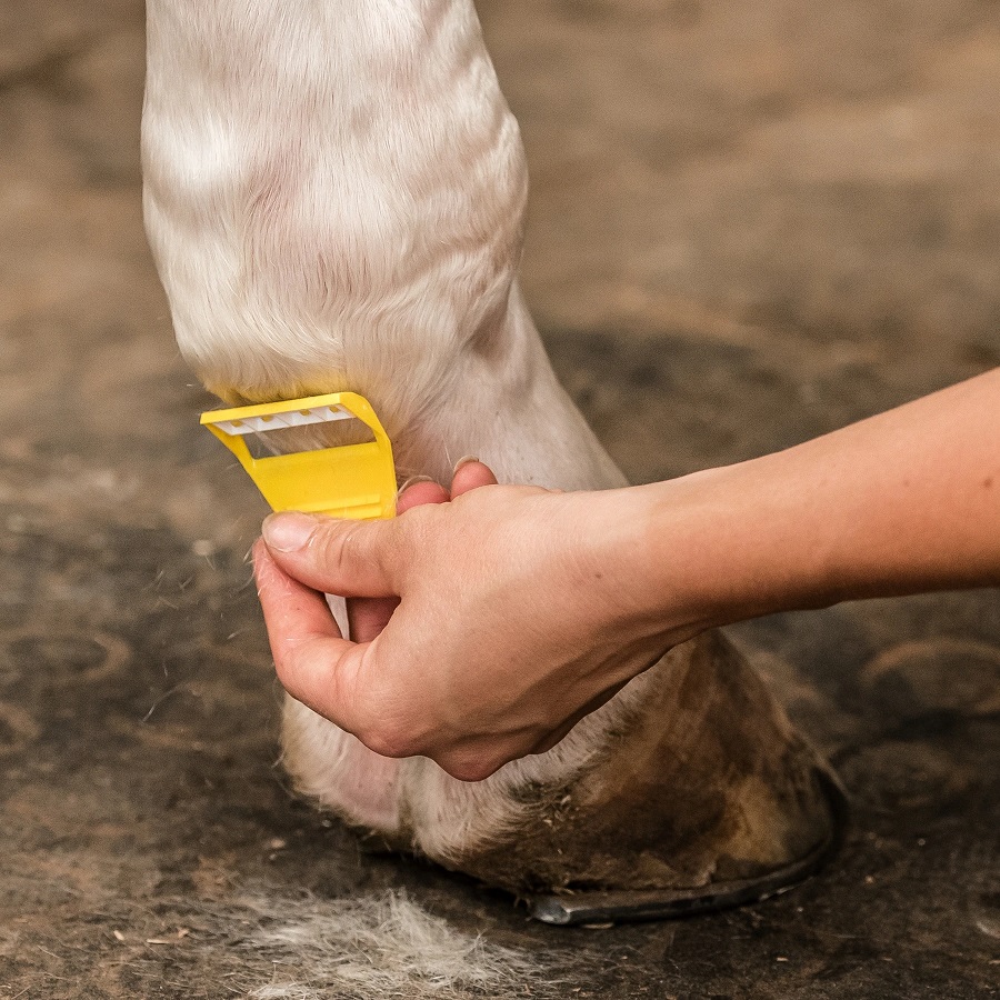 Smart Grooming Equi-Shave