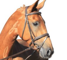 Flags&Cup Flash Bridle