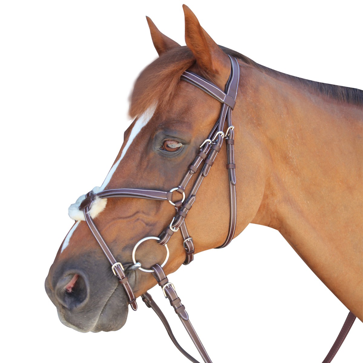 Flags&Cup Fine Head Goteborg Grakle Bridle