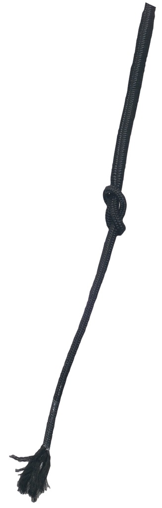 Fleck Vario Dressage Whip