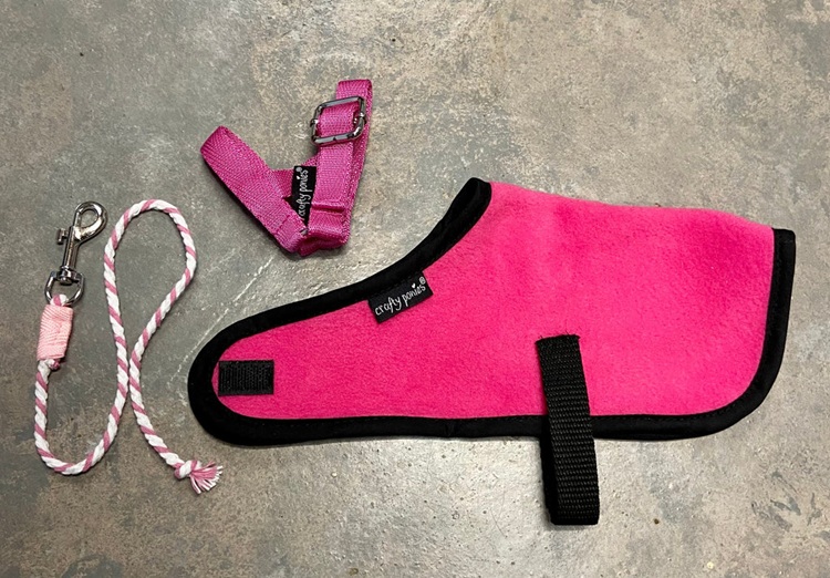 Crafty Pony Foal Rug Set