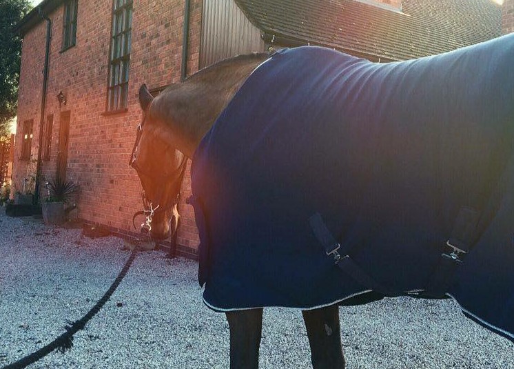 Garali Cooler Fleece Rugs