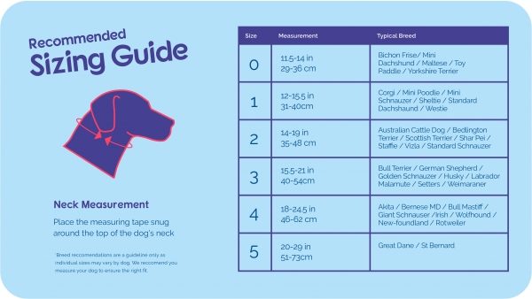 Halti Headcollar for Dogs