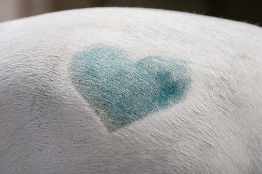 Hi Gloss Glitter Spray Pink