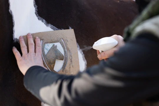 Hi Gloss Glitter Spray Gold