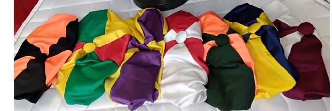 Helmet Covers Irish Pony Club Colours