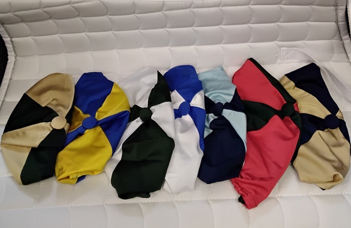 irish-pony-club-colours.jpg