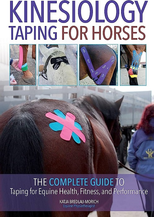 kinesiology-taping-for-horses.jpg