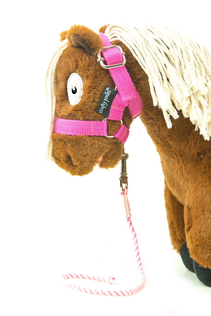 Crafty Ponies Lead Rope