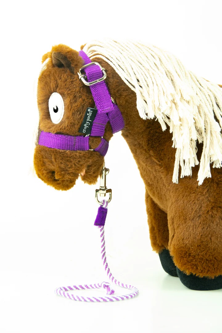 Crafty Ponies Lead Rope