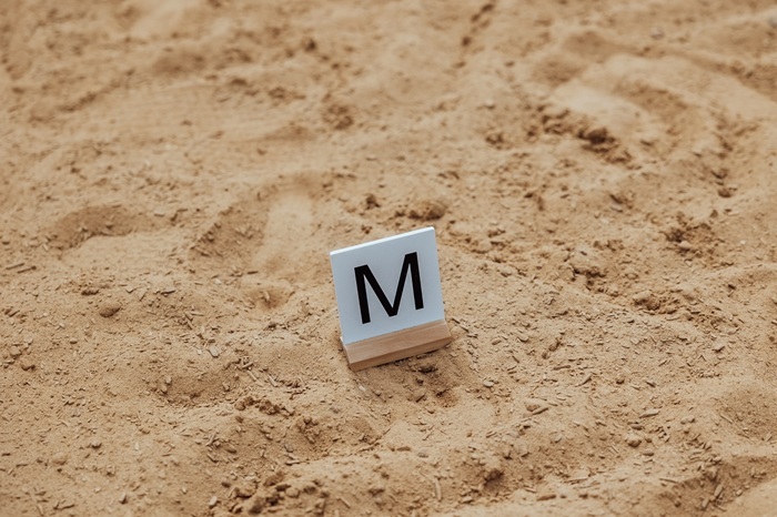 Hobby Horse Jump & Dressage Markers