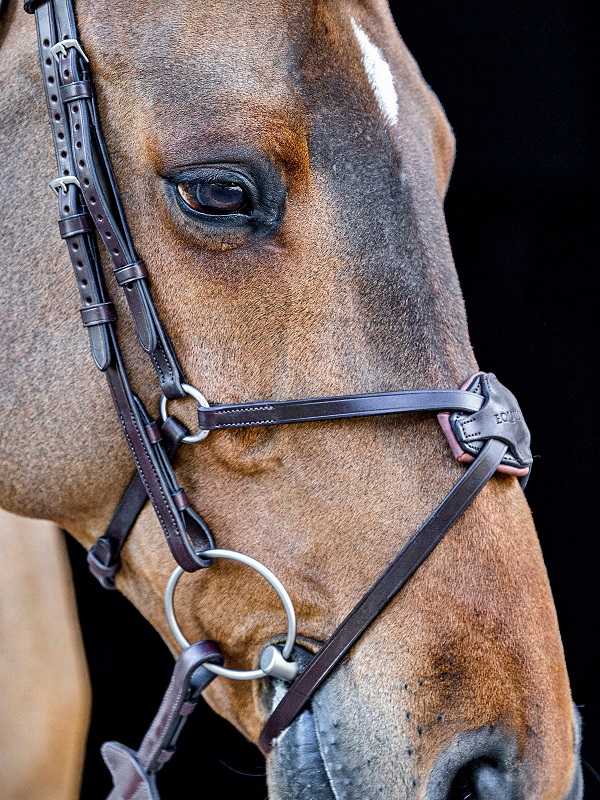 Equiline Mexican Noseband