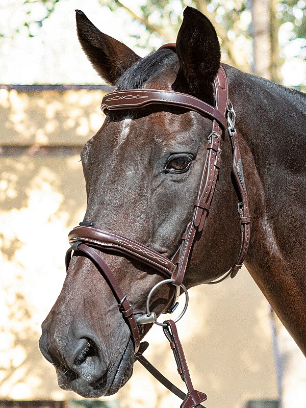 Equiline Ready to Ride Jumping Bridle Brown