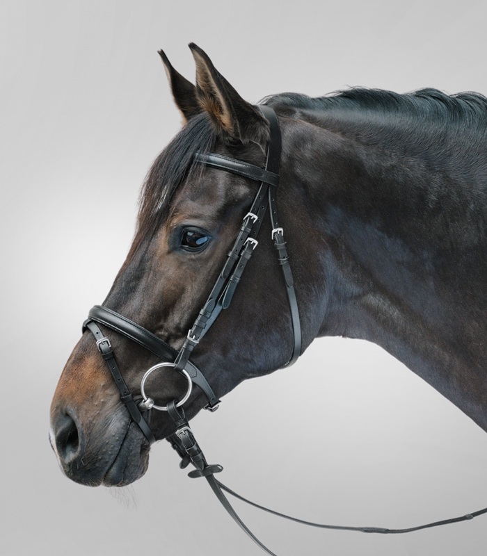shetland-bridle-black.jpg
