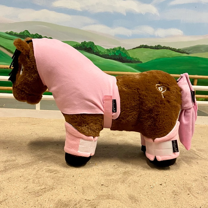 Crafty Ponies Travel Set