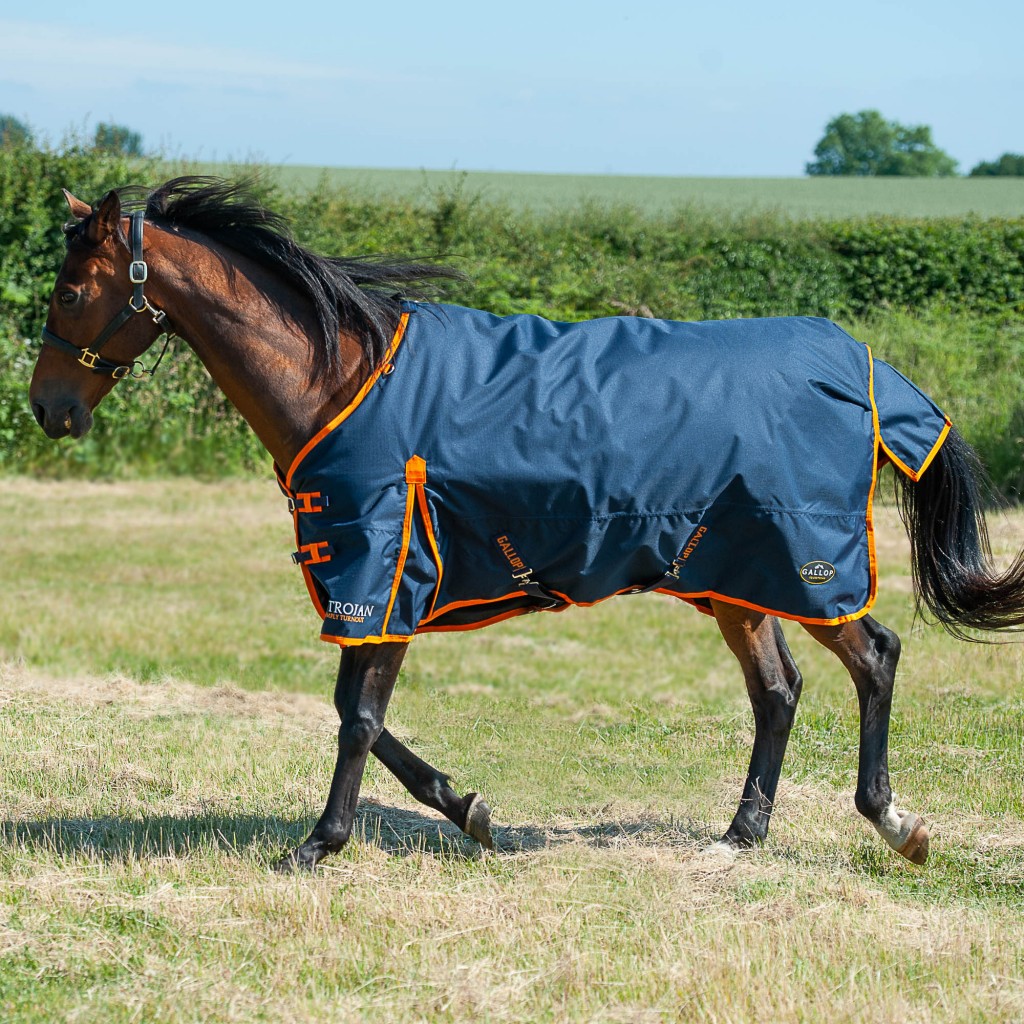 Gallop 100g Turn Out Rug