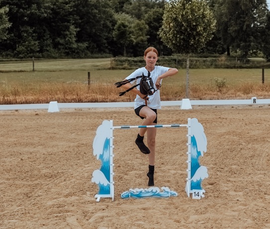 Hobby Horse Waves Show Jump 