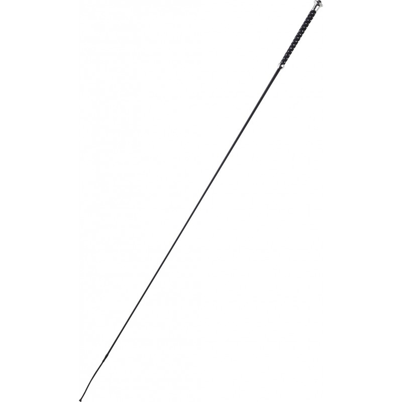 whipgo-points-dressage-whip.jpg